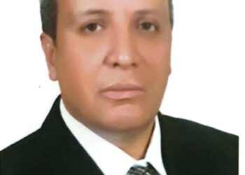 الأمن القومي العربي وحماية الممرات البحرية