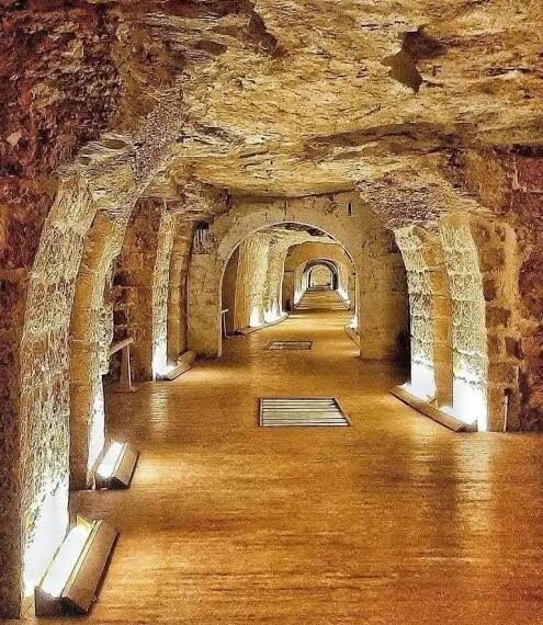 ماذا حدث في واقعة تسلق أحد السياح التوابيت بالسيرابيوم بمنطقة سقارة الأثرية؟