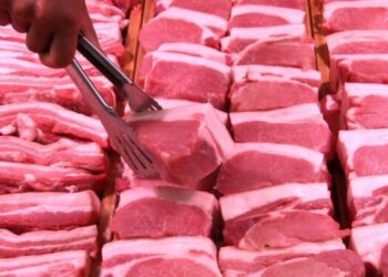 أسعار اللحوم