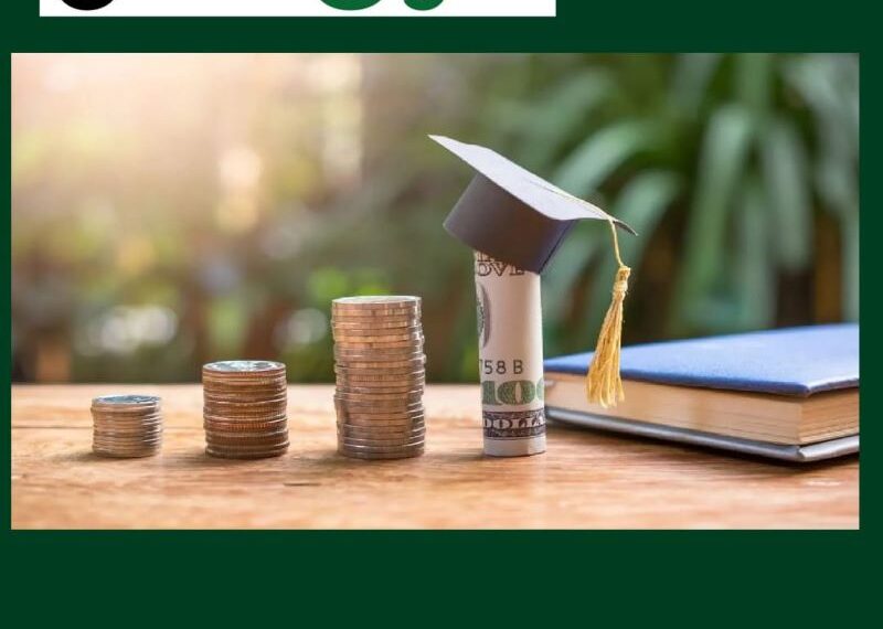 الخريج الشاب