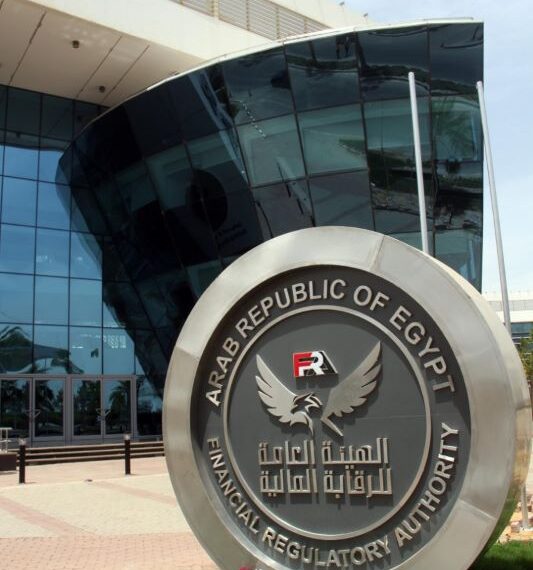 الرقابة المالية