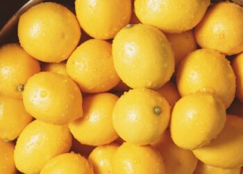 فتح السوق السلفادوري أمام صادرات «الليمون المصري»