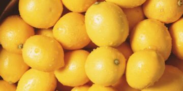 فتح السوق السلفادوري أمام صادرات «الليمون المصري»