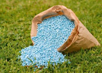 أسعار الأسمدة في الأسواق اليوم 24 أبريل 2026.. تراجع «سلفات النشادر» واستقرار المدعم