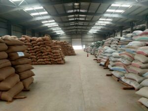 «البنك الزراعي المصري» يُنهي استعداداته لاستقبال موسم توريد القمح 2026