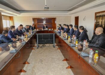 نقل التكنولوجيا الصينية المتطورة في مجال الزراعة إلى السوق المصري