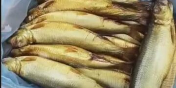 أسعار الموالح البحرية في الأسواق (الرنجة والفسيخ) في الأسواق المصرية اليوم الأربعاء 1 ابريل