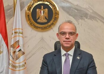 استمرار العمل بالمراكز الخدمية التابعة لوزارة الاستثمار طوال أيام الأسبوع