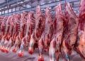 ارتفاع أسعار اللحوم اليوم في الأسواق