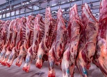ارتفاع أسعار اللحوم اليوم في الأسواق