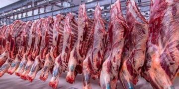 ارتفاع أسعار اللحوم اليوم في الأسواق