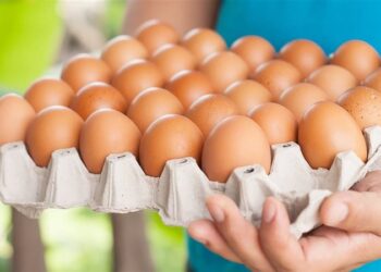 تعرف على أسعار البيض في الأسواق المصرية اليوم الإثنين 13 ابريل