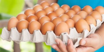 تعرف على أسعار البيض في الأسواق المصرية اليوم الإثنين 13 ابريل