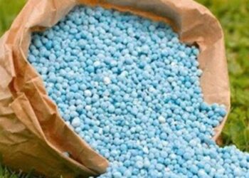 أسعار الأسمدة اليوم الإثنين 13 أبريل في الأسواق المصرية