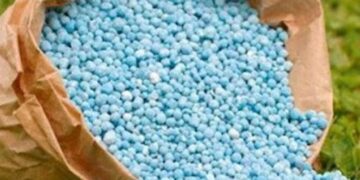 أسعار الأسمدة اليوم الإثنين 13 أبريل في الأسواق المصرية