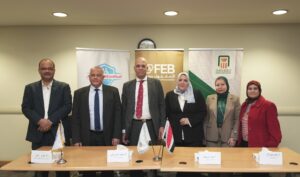 «اتحاد بنوك مصر» ينظم ورشة عمل بأسوان لتعزيز جاهزية القطاع المصرفي لمنظومة التأمين الصحي الشامل