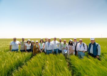 «الأهرام للمشروبات» تشهد افتتاح موسم حصاد الشعير 2026 بشرق العوينات