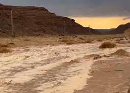 وزير الزراعة يستجيب لمتضرري سيول «وادي سعال» بسانت كاترين في أقل من 24 ساعة