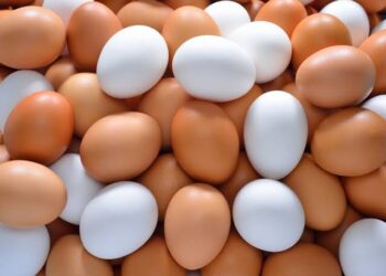 تراجع قوي في أسعار البيض واستقرار الألبان بالأسواق اليوم 24 أبريل 2026