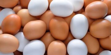 تراجع قوي في أسعار البيض واستقرار الألبان بالأسواق اليوم 24 أبريل 2026
