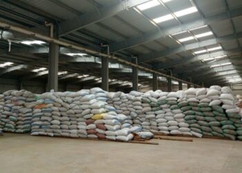 «البنك الزراعي المصري» يُنهي استعداداته لاستقبال موسم توريد القمح 2026