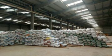 «البنك الزراعي المصري» يُنهي استعداداته لاستقبال موسم توريد القمح 2026