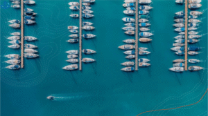 التحول الرقمي في القطاع البحري