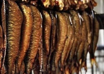 ضبط 8 أطنان رنجة «منتهية الصلاحية»