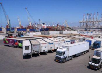 شحنات الترانزيت تواصل تدفقها عبر خط «الرورو» بميناء دمياط