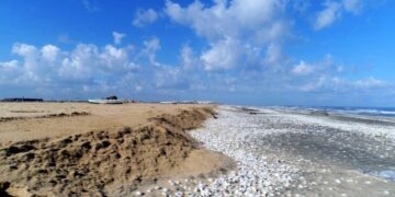 مشروع تعزيز التكيف مع تغير المناخ فى دلتا نهر النيل والساحل الشمالى