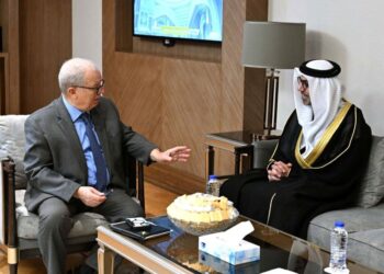 نائب رئيس الوزراء للشئون الاقتصادية يلتقي سفير دولة الإمارات لدى القاهرة