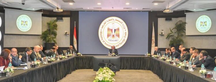 وزير الاستثماريتابع مع ممثلي الخارجية والزراعة تطورات تأسيس صندوق الاستثمار في أفريقي