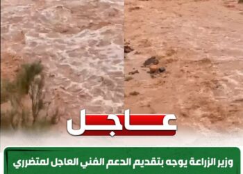 وزير الزراعة يستجيب لمتضرري سيول «وادي سعال» بسانت كاترين في أقل من 24 ساعة