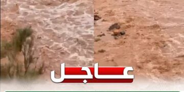 وزير الزراعة يستجيب لمتضرري سيول «وادي سعال» بسانت كاترين في أقل من 24 ساعة