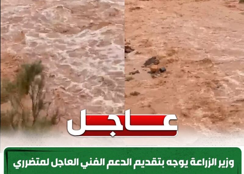 وزير الزراعة يستجيب لمتضرري سيول «وادي سعال» بسانت كاترين في أقل من 24 ساعة