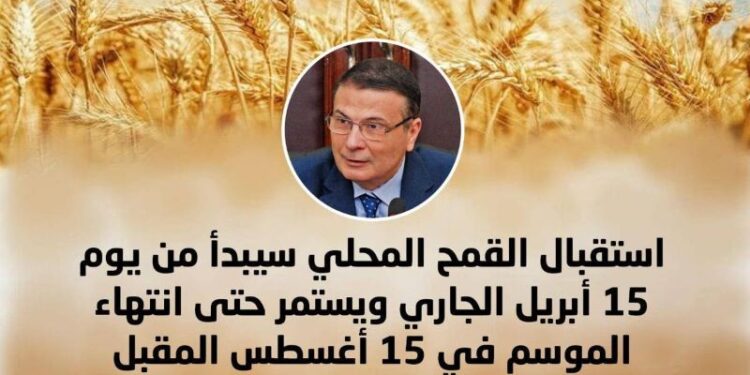 وزير الزراعة يعلن الاستعدادات النهائية لحصاد القمح