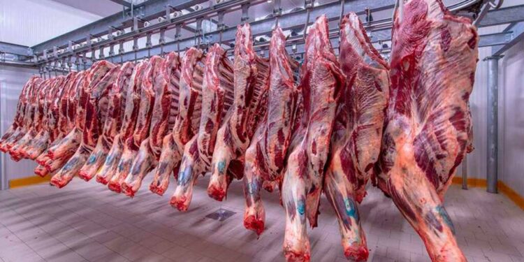 ذبح 10,172 أضحية بالمجازر الحكومية "مجانا" للمواطنين في أول أيام عيد الأضحى