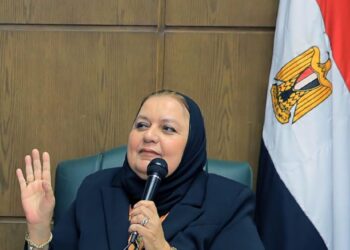: ا.د جيهان رجب أستاذ التسويق بجامعة عين شمس