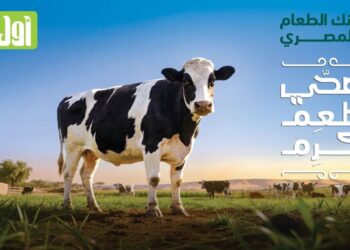 بنك الطعام المصري يطلق حملة ضحي أطعم أكرم