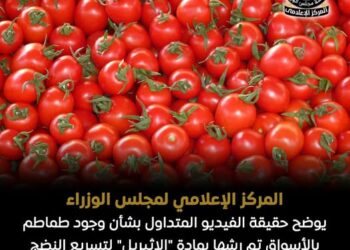 حقيقة الفيديو المتداول بشأن وجود طماطم بالأسواق تم رشها بمادة «الإثيريل»