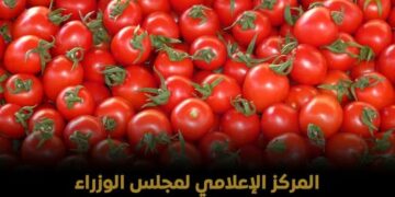حقيقة الفيديو المتداول بشأن وجود طماطم بالأسواق تم رشها بمادة «الإثيريل»