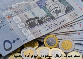 سعر الريال السعودي مقابل الجنيه المصري