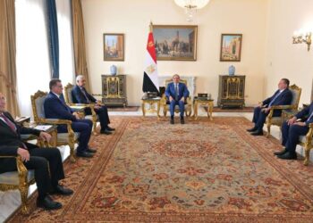 السيسي يبحث الشراكة الاستراتيجية بين مصر وبنك التنمية الأفريقي
