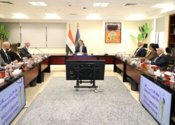 وزير الاتصالات يبحث مع «إريكسون» التعاون فى مجالات تكنولوجيا الشبكات وبناء القدرات الرقمية