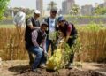 اورنچ مصر تطلق تجربة بيئية تفاعلية مبتكرة بمشاركة موظفيها