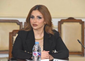 الدكتورة نرمين طاحون، الخبيرة الاقتصادية، الشريك المؤسس لمكتب طاحون للاستشارات القانونية