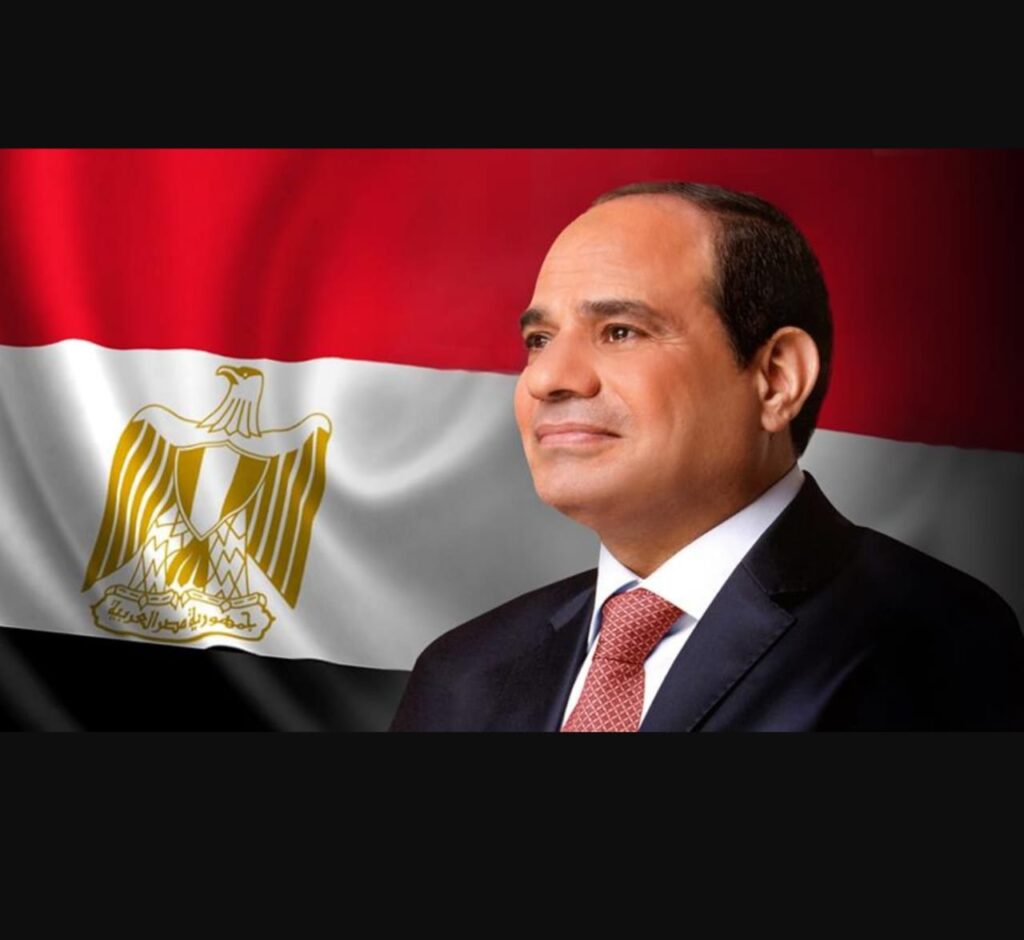 مشاركة الرئيس السيسي اجتماع رجال الاعمال التنزاني المصرى