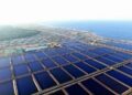 المزارع السمكية في مصر