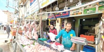 تراجع أسعار الدواجن والبيض اليوم