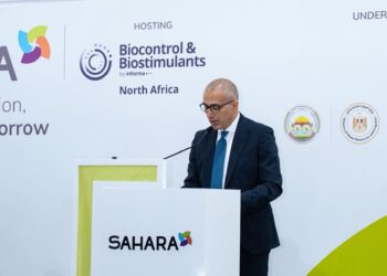 محمد أبو السعود